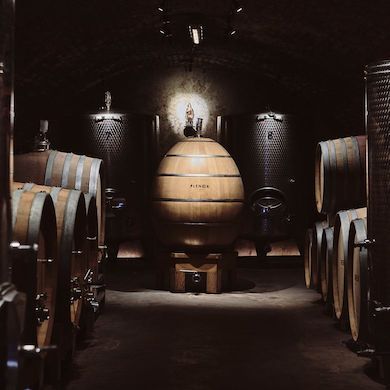 Seminář Vinohradnictví – Technologie výroby vína